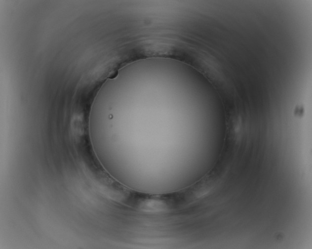 X0000114170224200910221658