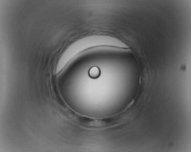 X0000114170225200910221658