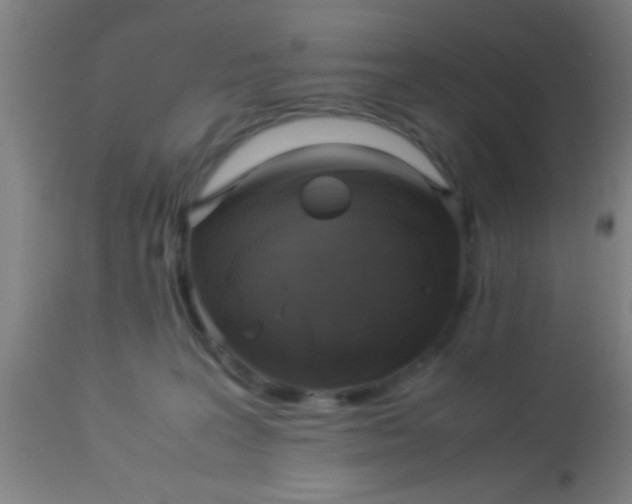 X0000114170227200910221658