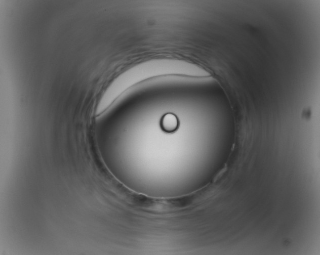 X0000114170229200910221658