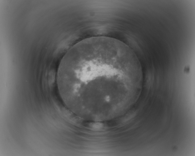 X0000114170230200910221658