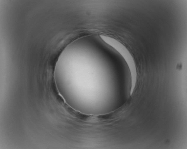 X0000114170231200910221658