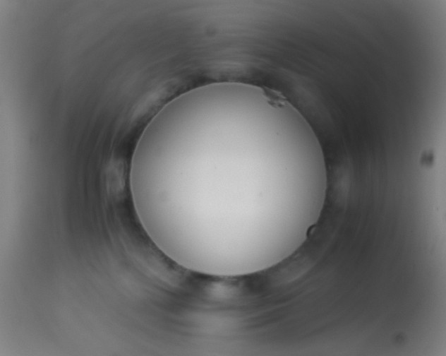 X0000114170232200910221658