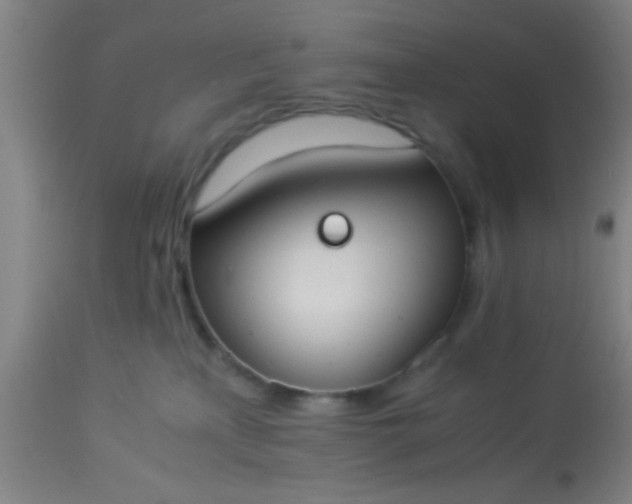 X0000114170233200910221658