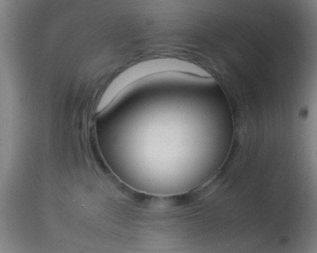 X0000114170235200910221658