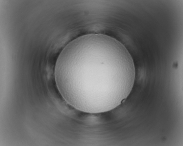 X0000114170236200910221658