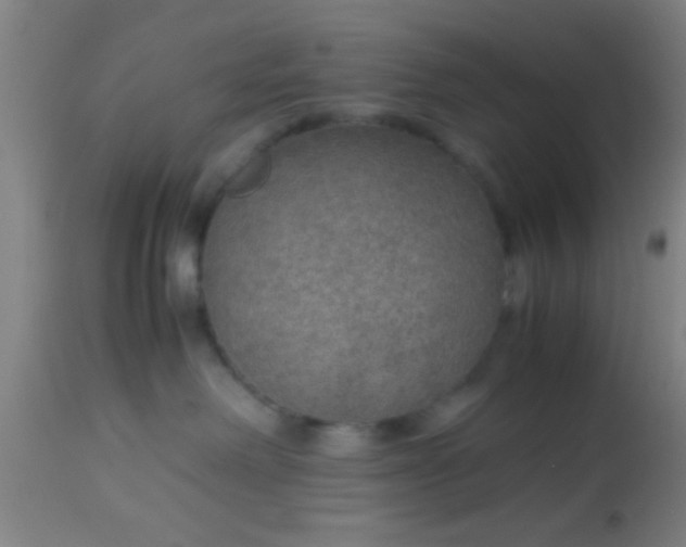 X0000114170238200910221658