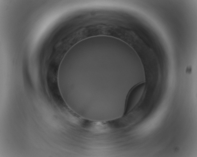 X0000114170239200910221658