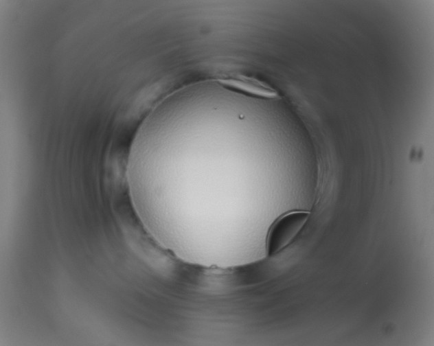 X0000114170240200910221658