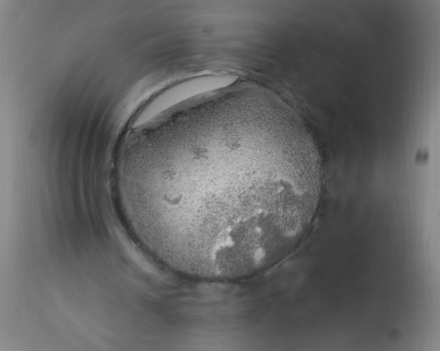 X0000114170242200910221657