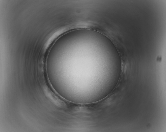 X0000114170244200910221657