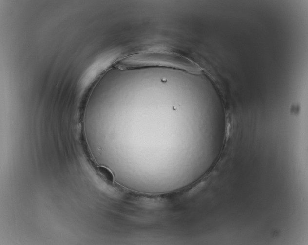 X0000114170245200910221657