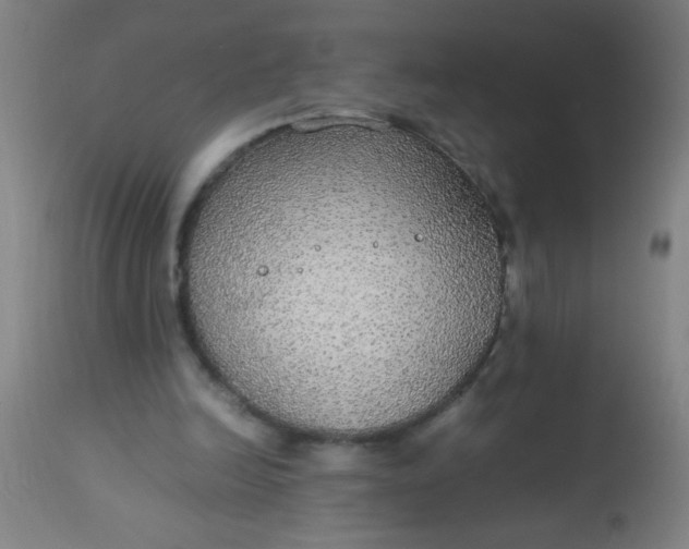 X0000114170246200910221657