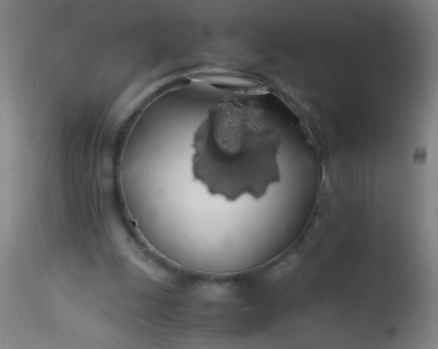 X0000114170247200910221657