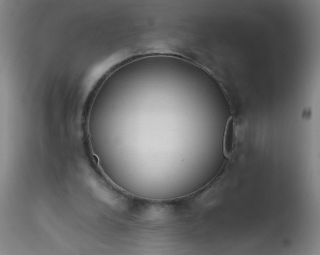 X0000114170248200910221657