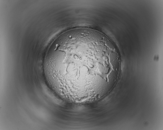 X0000114170249200910221657