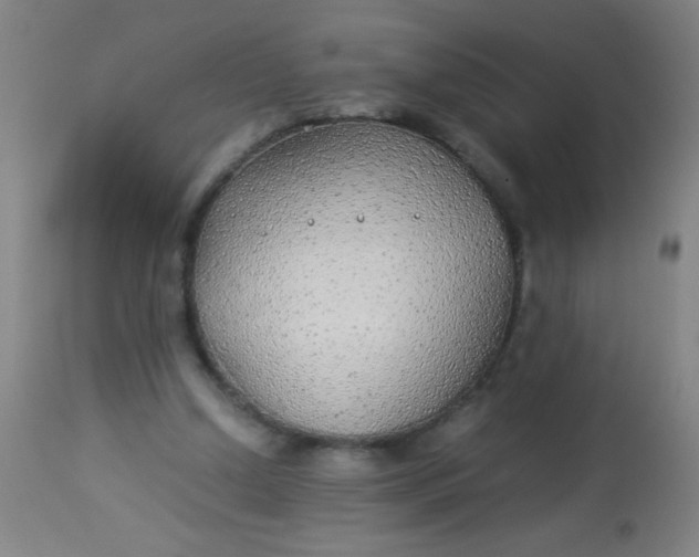 X0000114170250200910221657