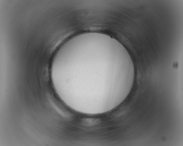 X0000114170251200910221657