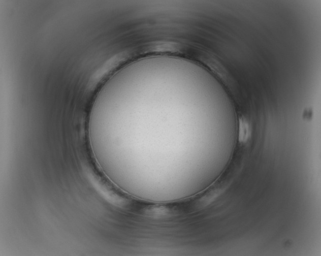 X0000114170253200910221657