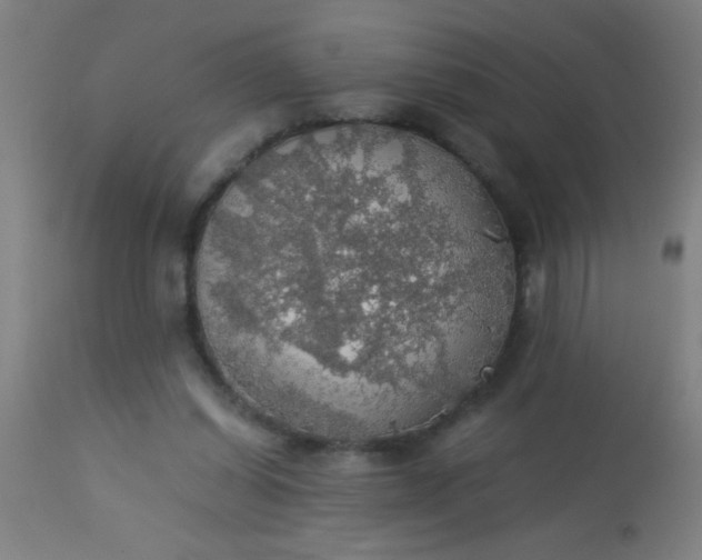 X0000114170254200910221657