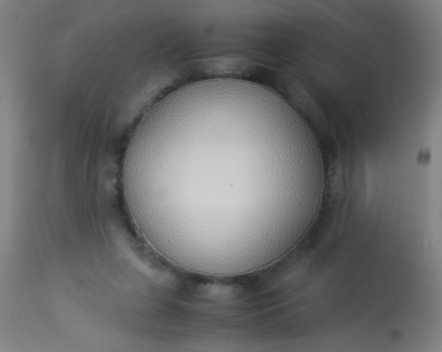 X0000114170255200910221657