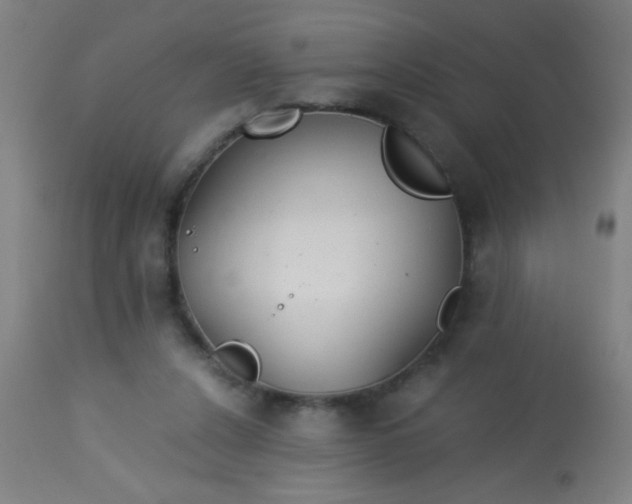 X0000114170256200910221657