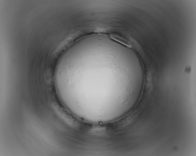 X0000114170257200910221657