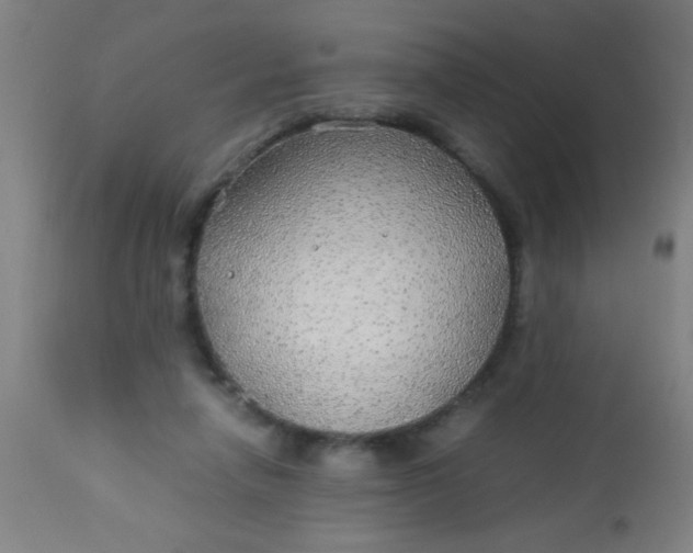 X0000114170258200910221657