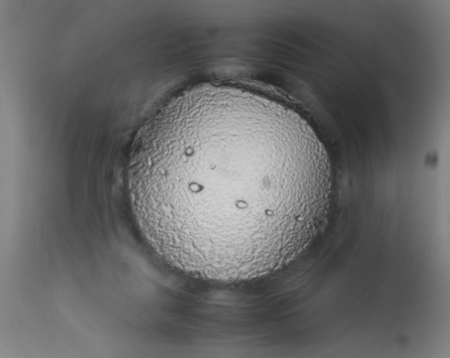 X0000114170259200910221657