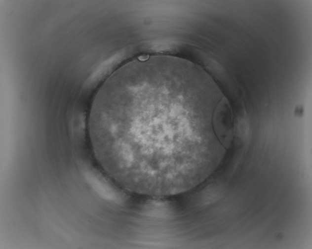 X0000114170260200910221657