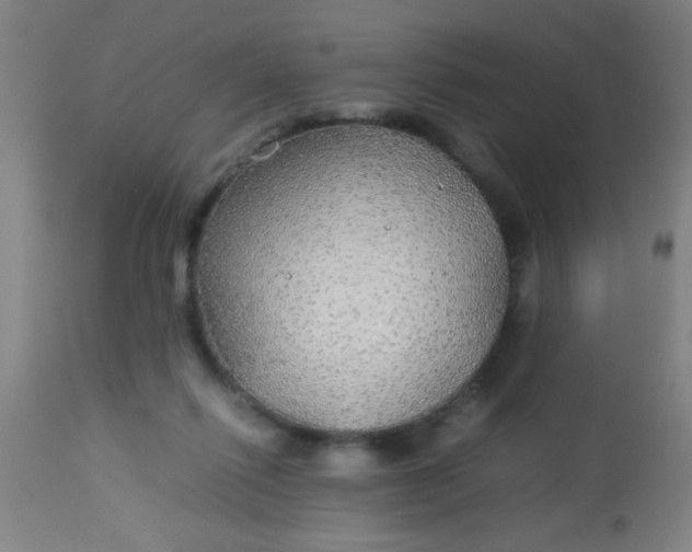 X0000114170262200910221657