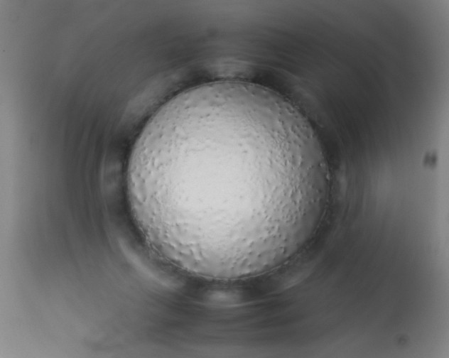 X0000114170263200910221657