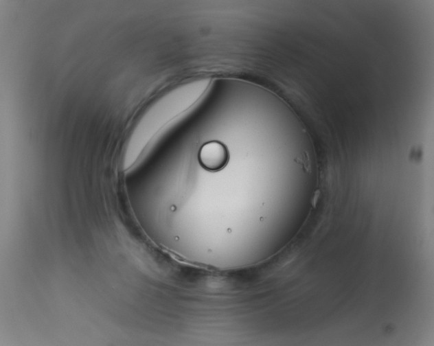 X0000114170264200910221657