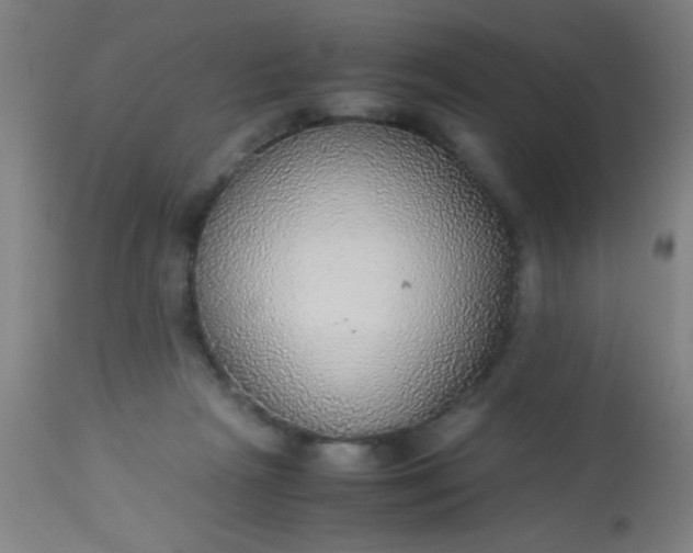 X0000114170265200910221657