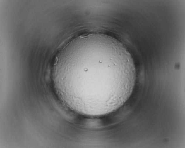 X0000114170266200910221657