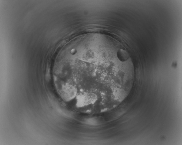 X0000114170267200910221657