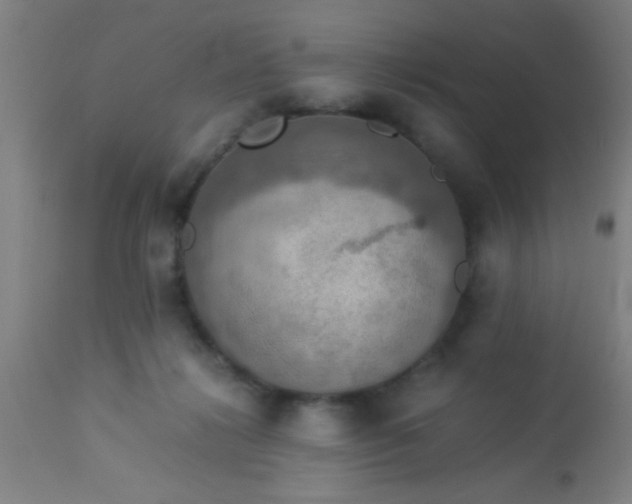 X0000114170268200910221657