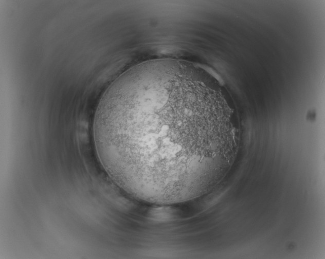 X0000114170269200910221657