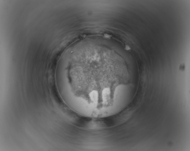 X0000114170270200910221657