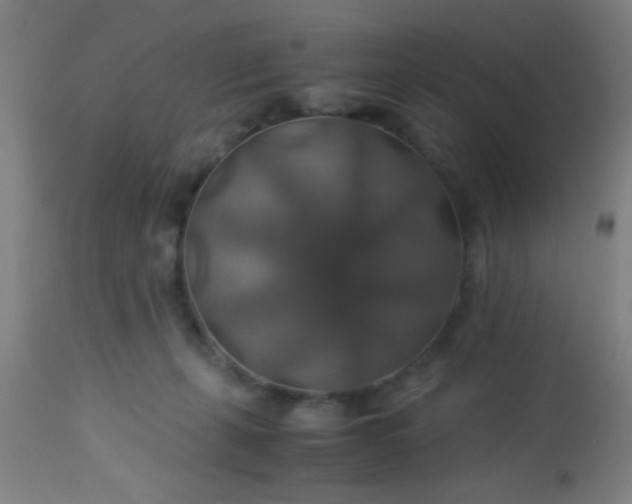 X0000114170271200910221657