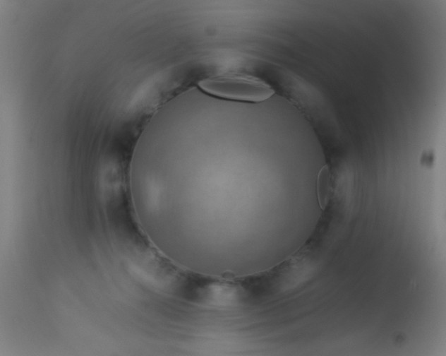 X0000114170272200910221657