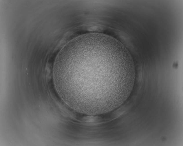 X0000114170273200910221657