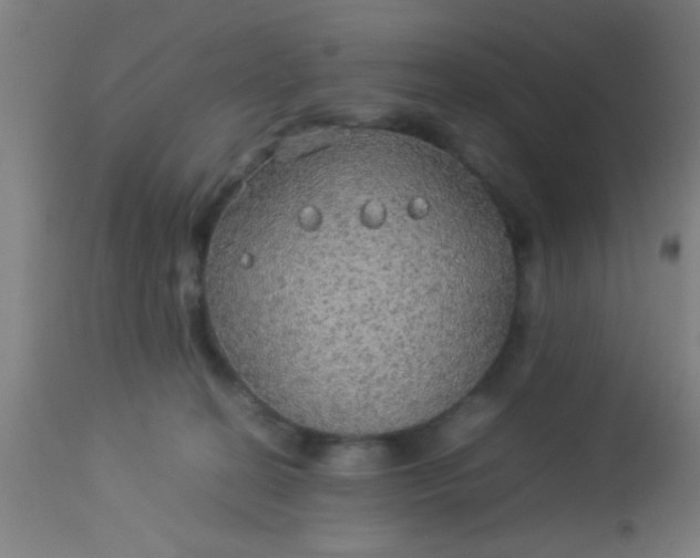 X0000114170274200910221657