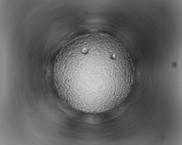 X0000114170275200910221658