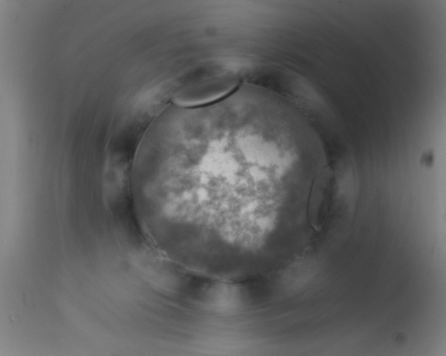 X0000114170276200910221658