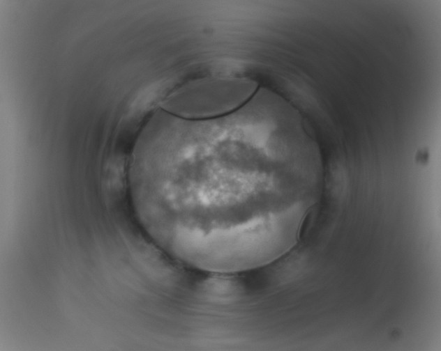 X0000114170280200910221658