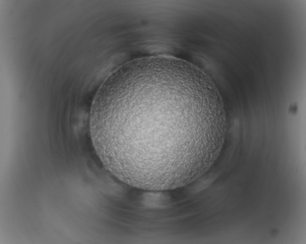 X0000114170281200910221658