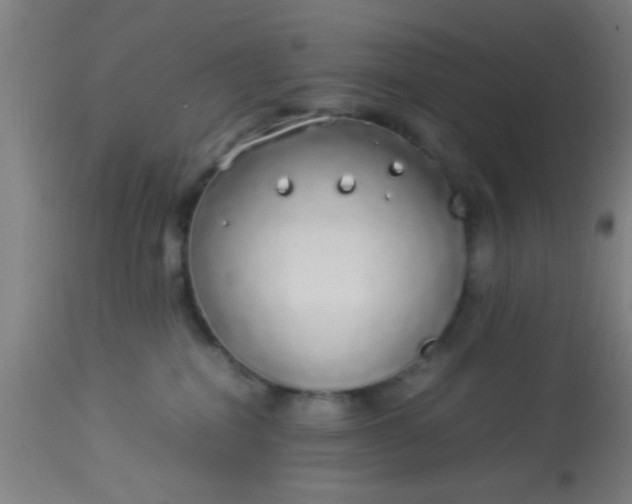 X0000114170282200910221658