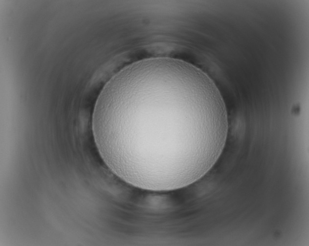 X0000114170283200910221658