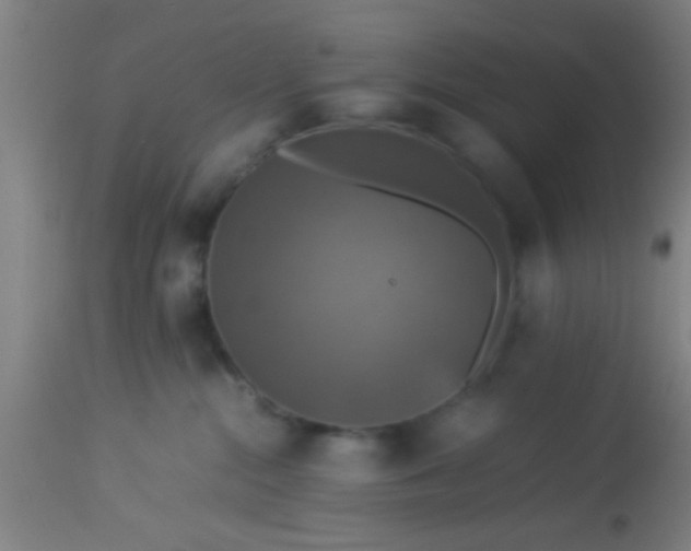 X0000114170284200910221658